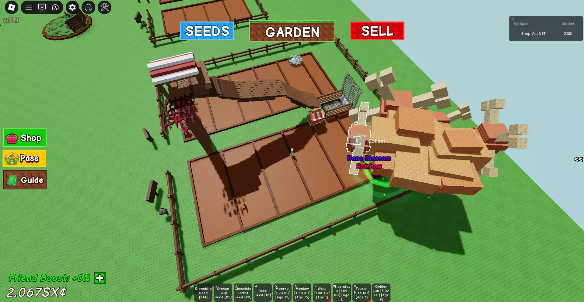 Nhiều pet xịn và có bald