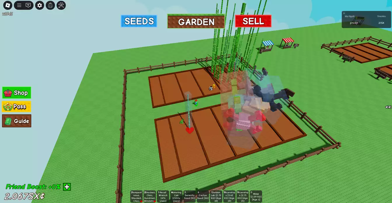 vườn đẹp nhiều pet xịn