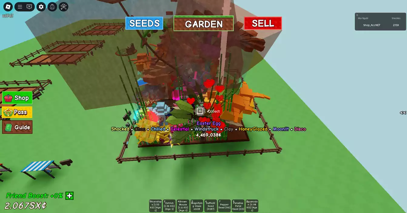 vườn đẹp nhiều pet xịn