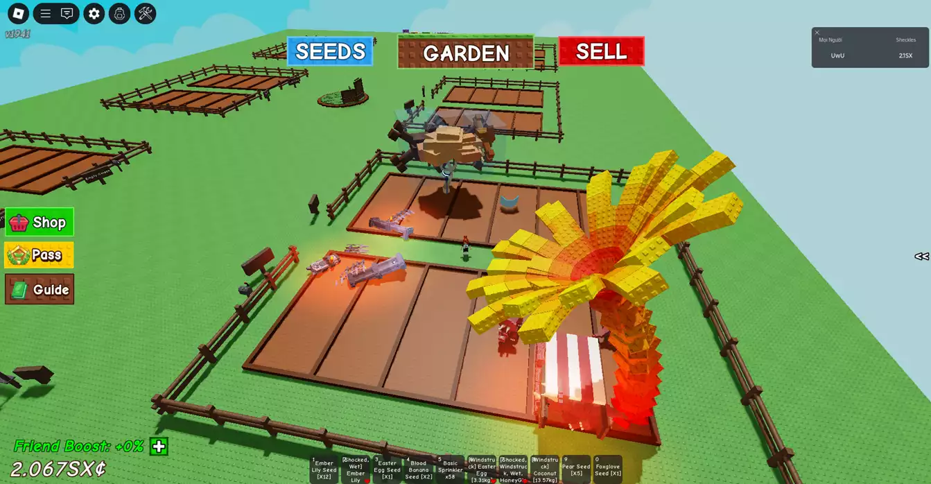 có kiwi, frog, mooncat