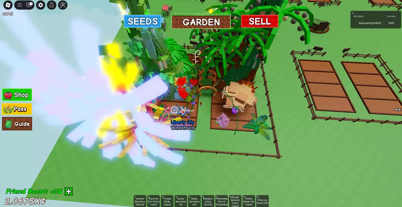 vườn đẹp nhiều pet xịn