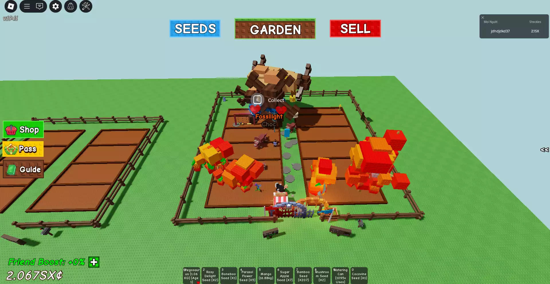 vườn đẹp có mooncat,quả 8 tỉ