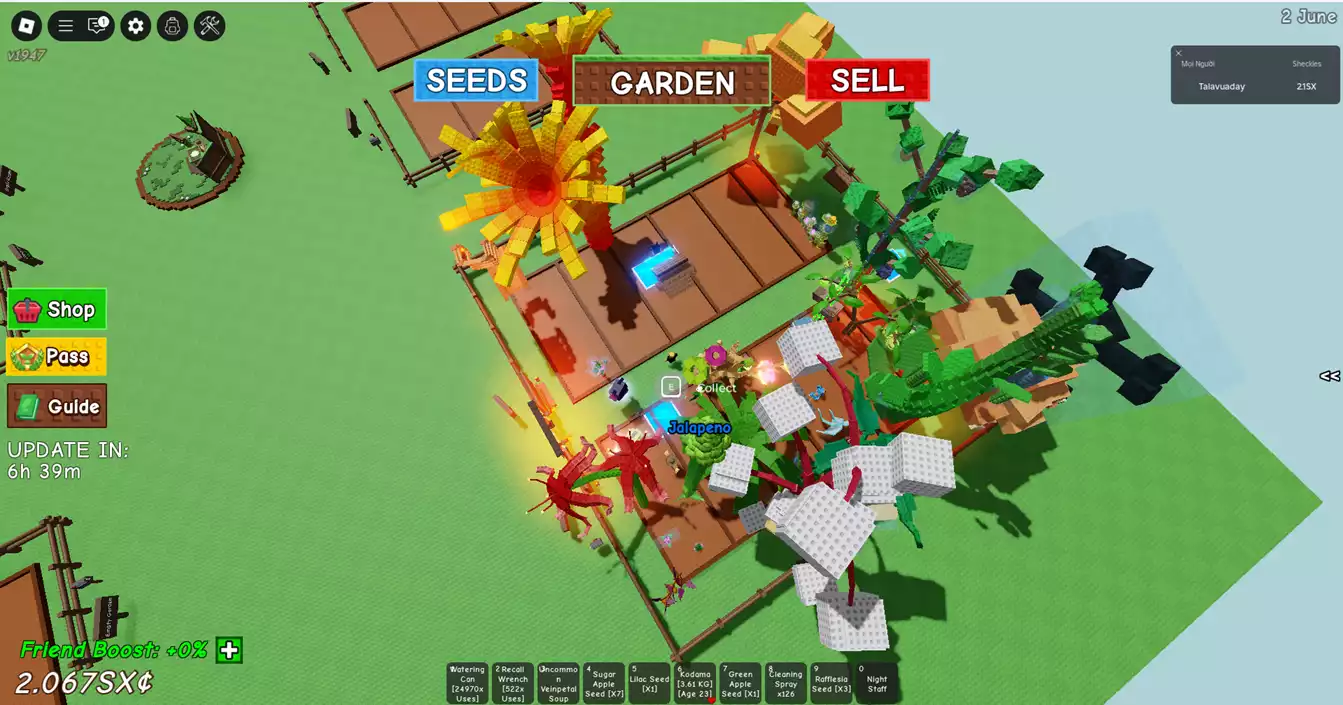 vườn đẹp ,còn 2 cây bone , có chơi blox lv2578 :cdk ,skull guitar ,Cá V3