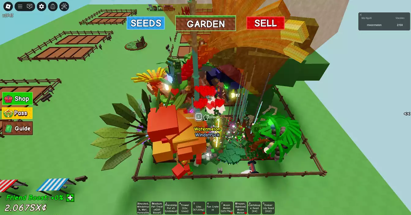 vườn đẹp , có chơi blox lv 2557 : cdk ,kitsune đang ăn,  shadow , lightning, Cá V4