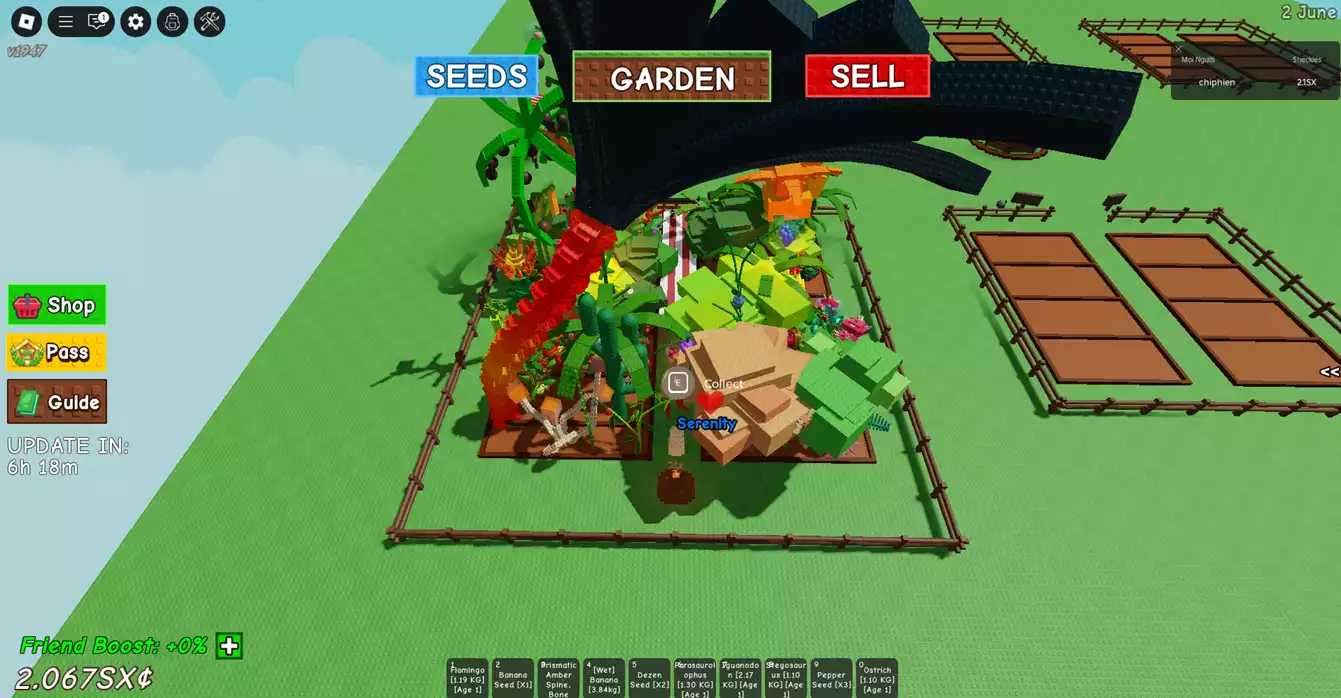 vườn đẹp ,nhiều pet xịn