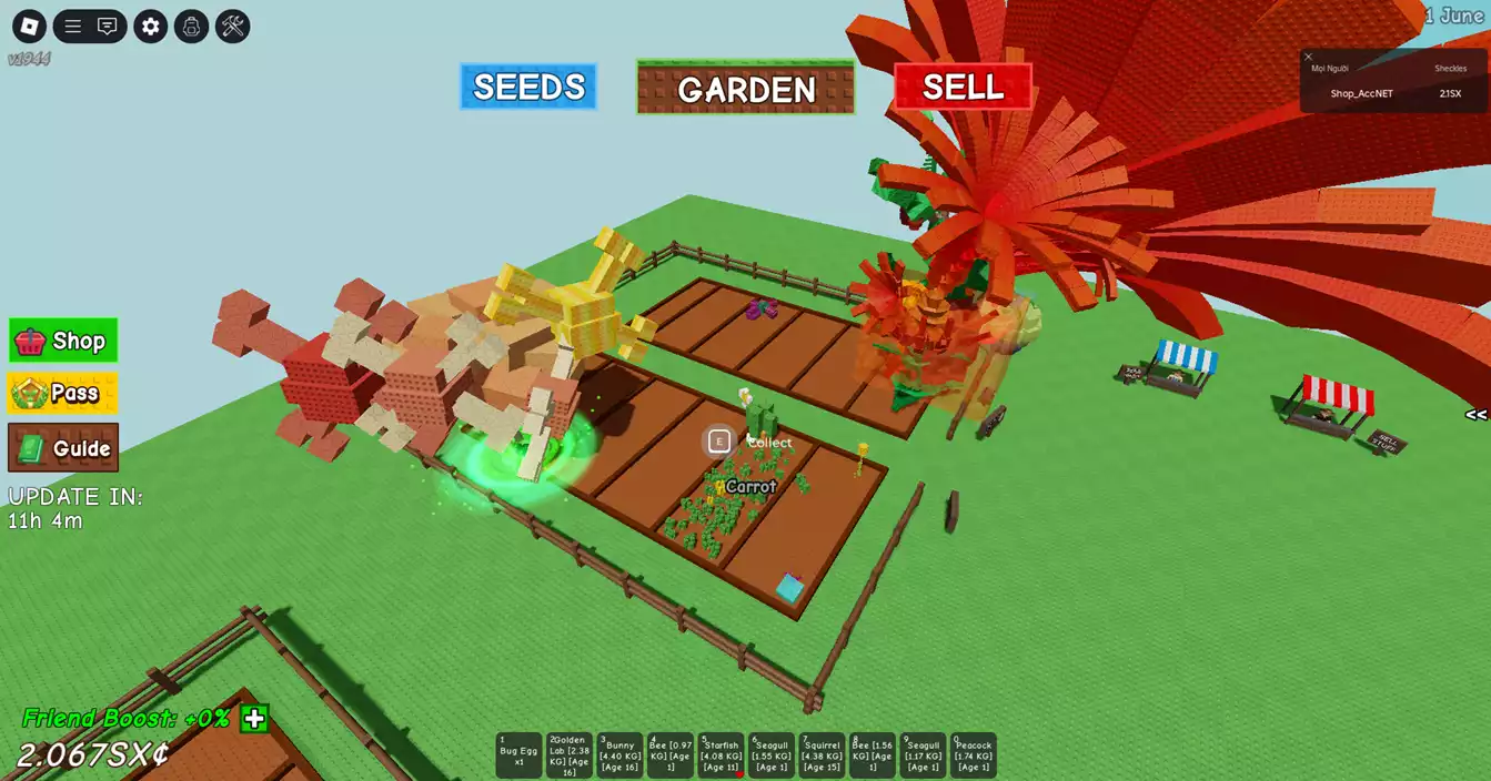 vườn đẹp nhiều pet