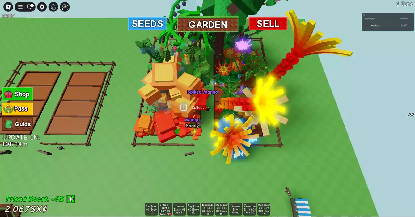 vườn đẹp , nhiều pet , có chơi rolox lvl 2600 : tam bảo kiếm , đang ăn lightning,có áo choàng lễ hội,godhuman