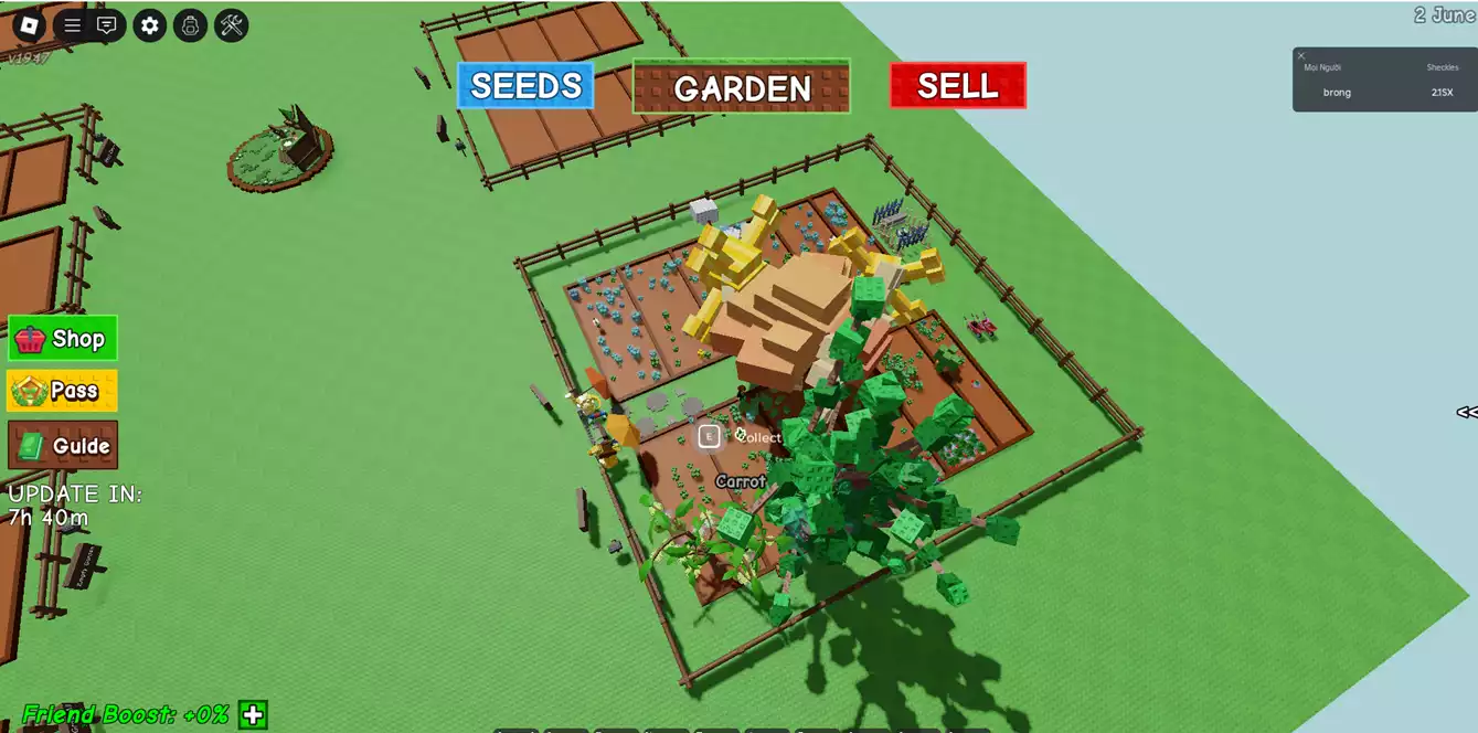 nhiều pet , acc còn 4 cây bone