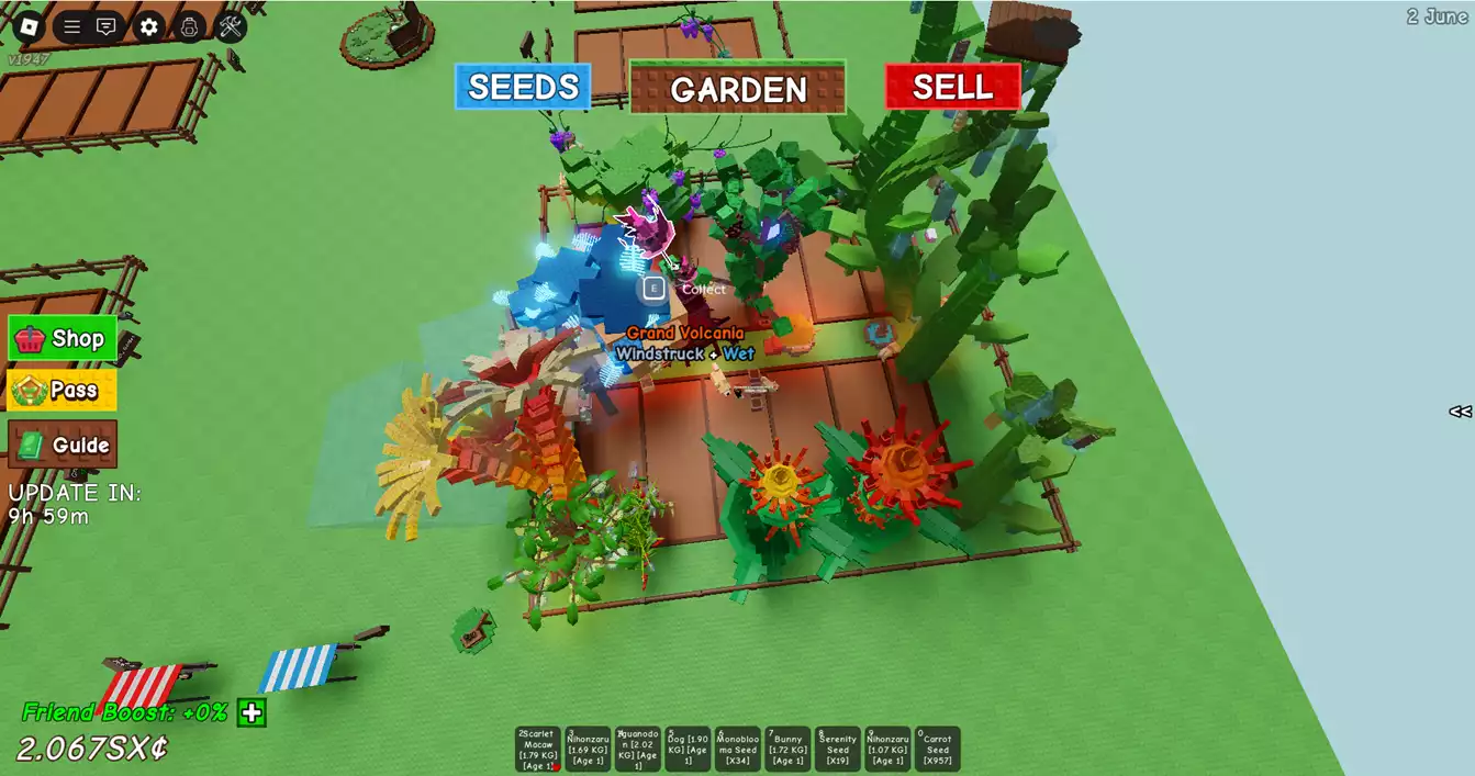 vườn đẹp , nhiều pet