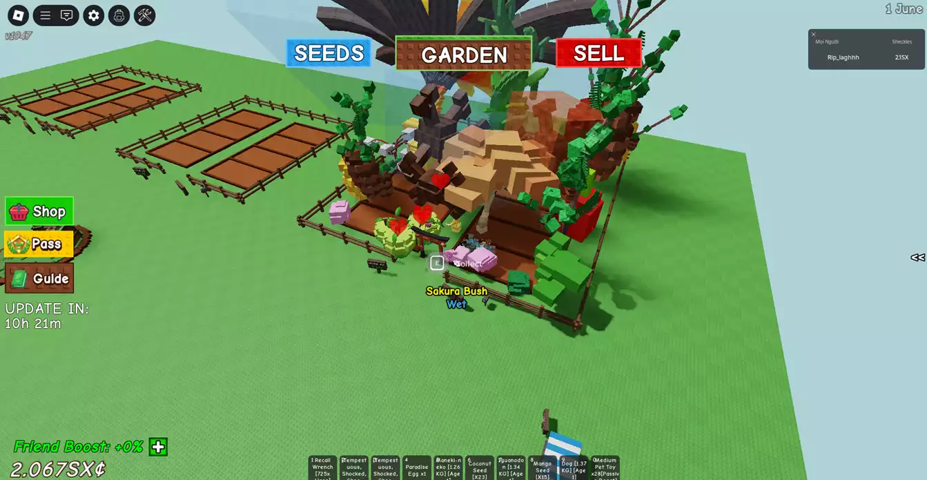 vườn đẹp , nhiều pet, có 2 quả 246 tỉ