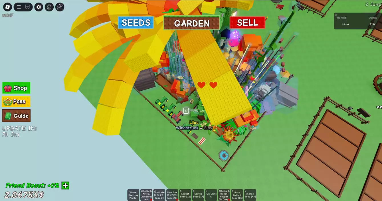 vườn đẹp nhiều pet xịn