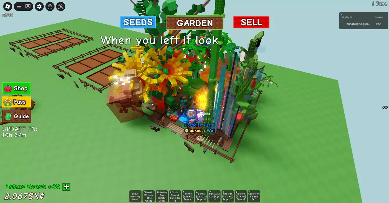 vườn đẹp nhiều pet