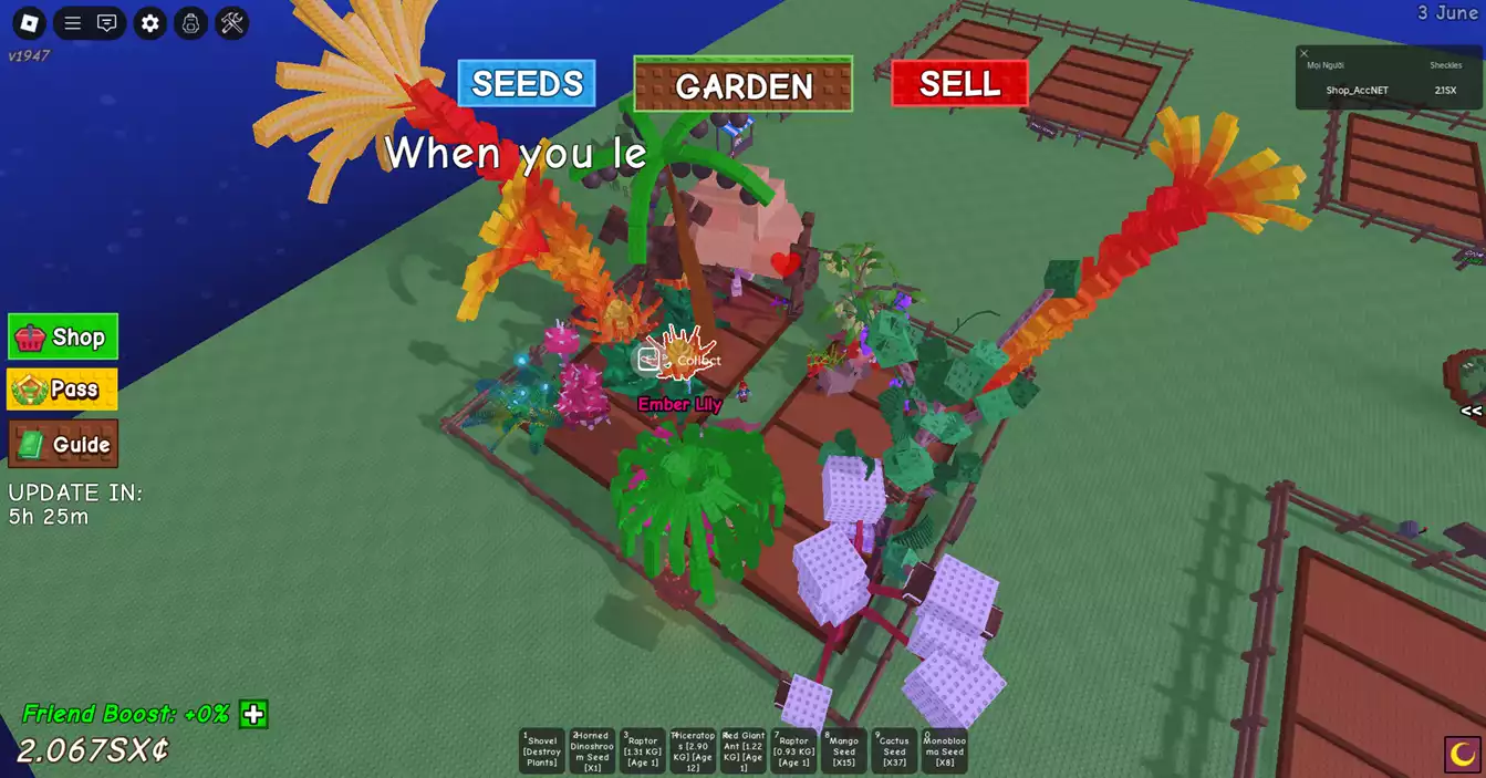 vườn đẹp  nhiều pet