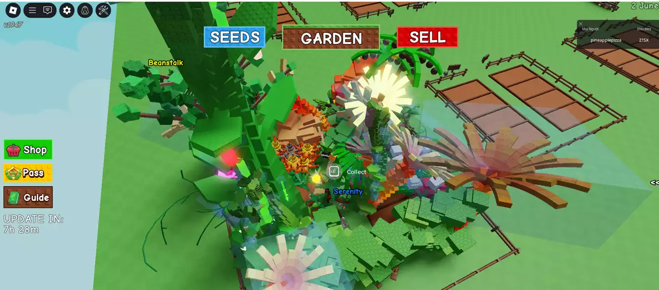 vườn đẹp nhiều pet