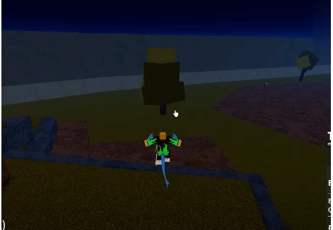 Những vị trí thường Spawn trái  ác quỷ ở Sea 3